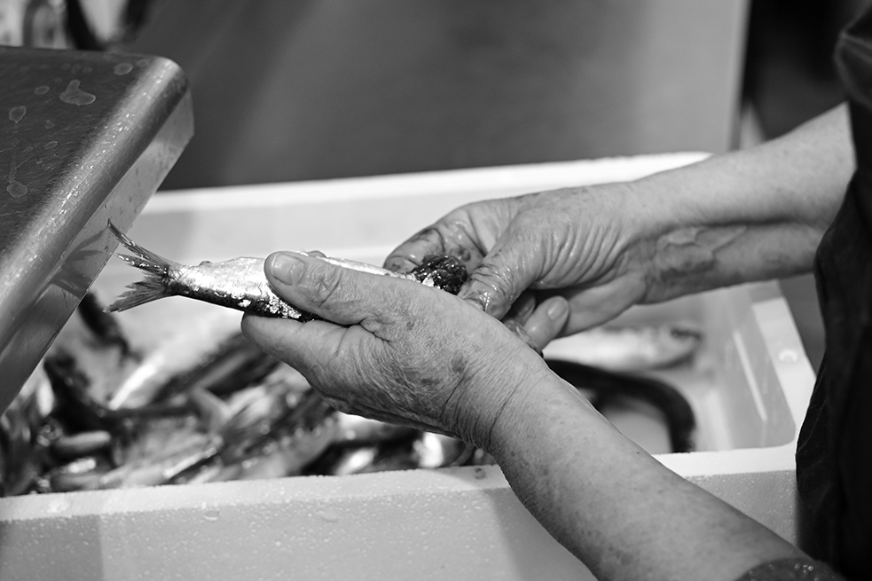 Projecte 8M Vidreres 2022 © Steph Watson 2022