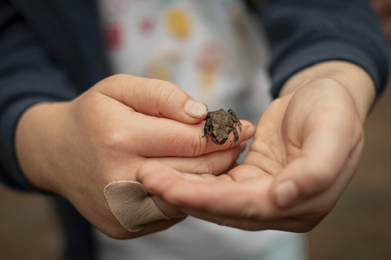 © Steph Watson 2024