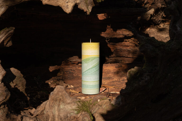 © Steph Watson 2023