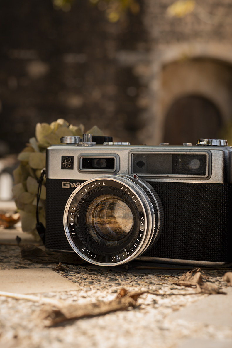 Iniciació a la fotografia. Vilobí d'Onyar