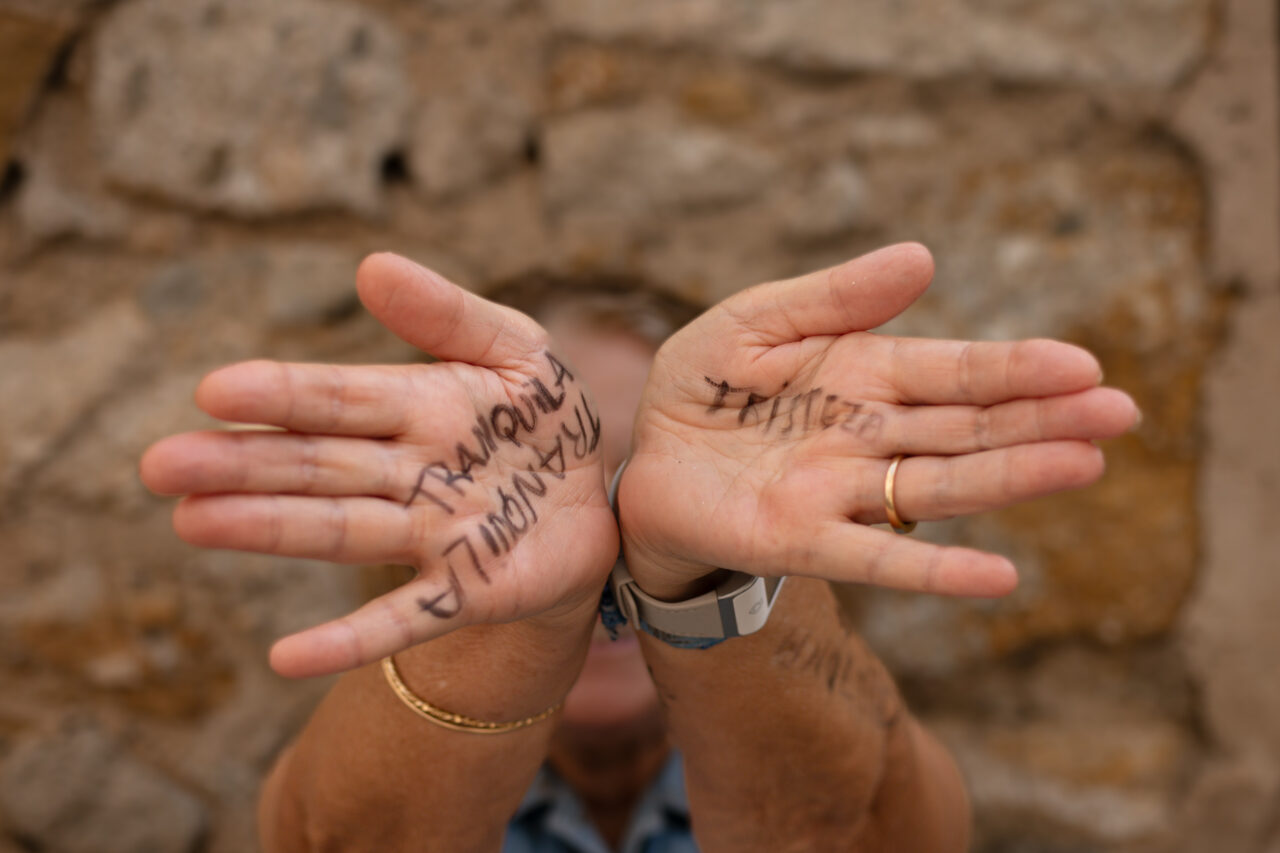 Projecte SIAD 2023 © Steph Watson 2023