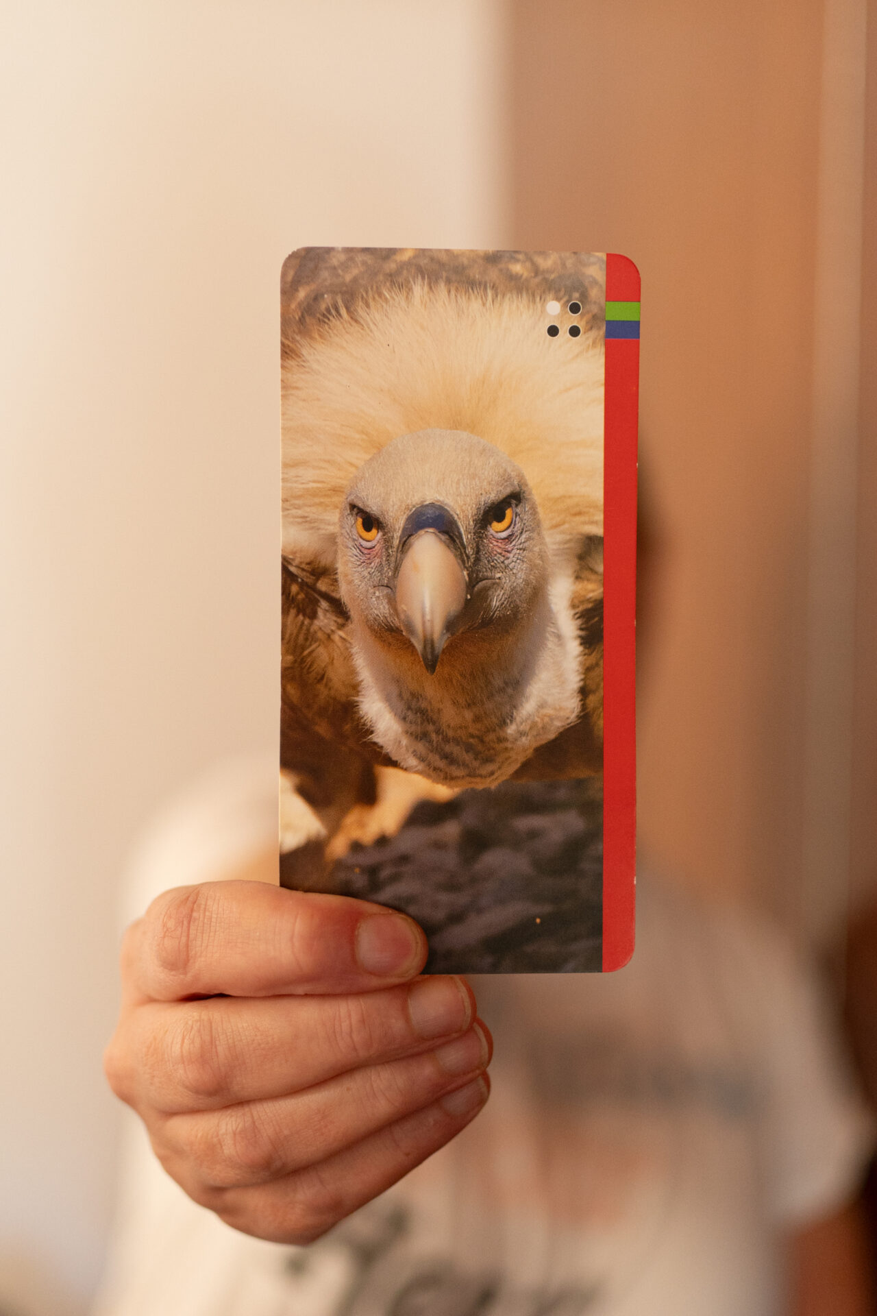 Projecte SIAD 2023 © Steph Watson 2023