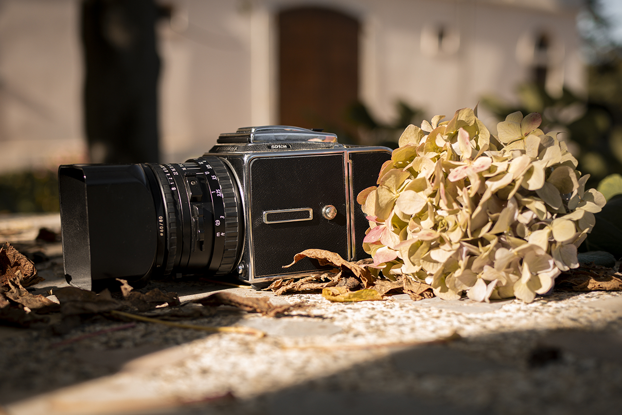 Estudi de fotografia Vilobí d'Onyar Girona