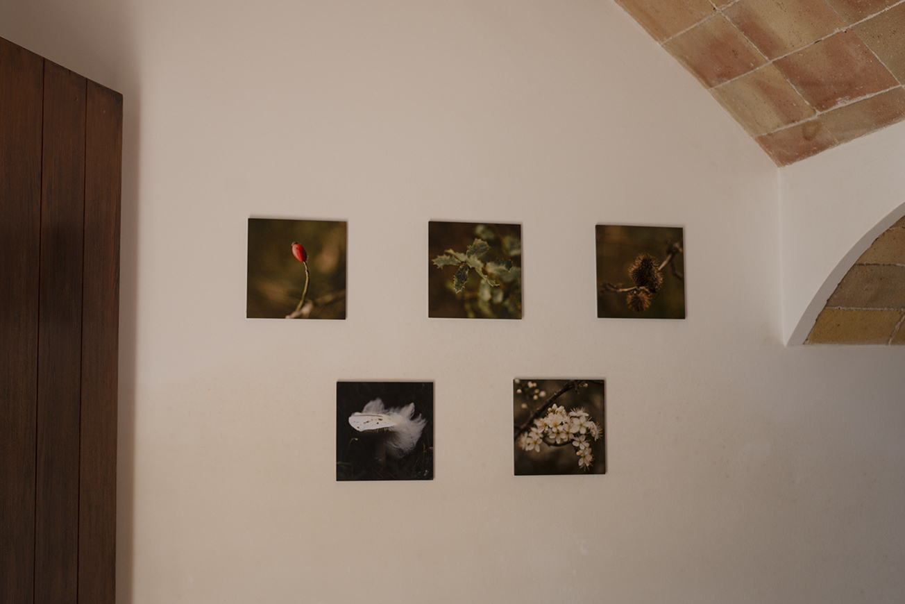 Estudi de fotografia Vilobí d'Onyar Girona